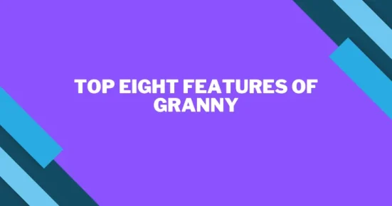 top eight features of granny