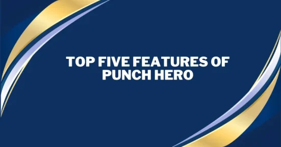 top five features of punch hero