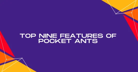 top nine features of pocket ants