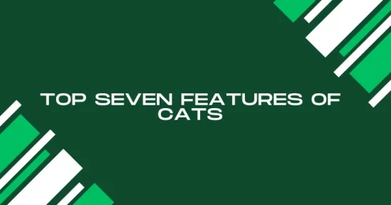 top seven features of cats